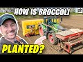 HOW is BROCCOLI Planted on a Commercial Farm #PlantingBroccoli #britishfarming