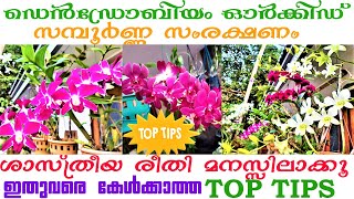 Orchid care in Malayalam - Dendrobium Orchid Exclusive Tips and Tricks