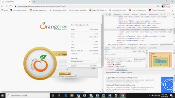Robotic Process Automation (RPA) Programming Demo