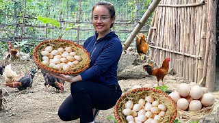 Harvest chicken eggs, collard greens & eggplants to sell at the market