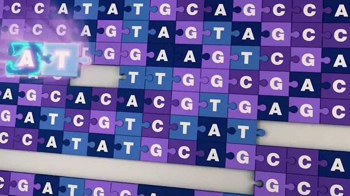 Researchers generate the first complete, gapless sequence of a human genome