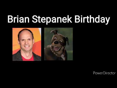 Video: Brian Stepanek nettoverdi: Wiki, gift, familie, bryllup, lønn, søsken