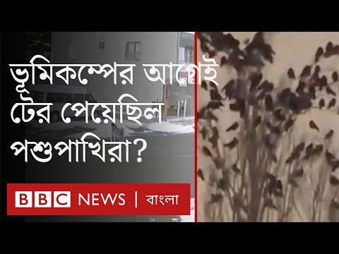 ভিডিও: ভূমিকম্পের কেন্দ্রবিন্দু ও কেন্দ্রস্থল কী?