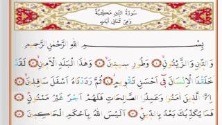Surah Al Teen - Saad Al Ghamdi surah teen with Tajweed