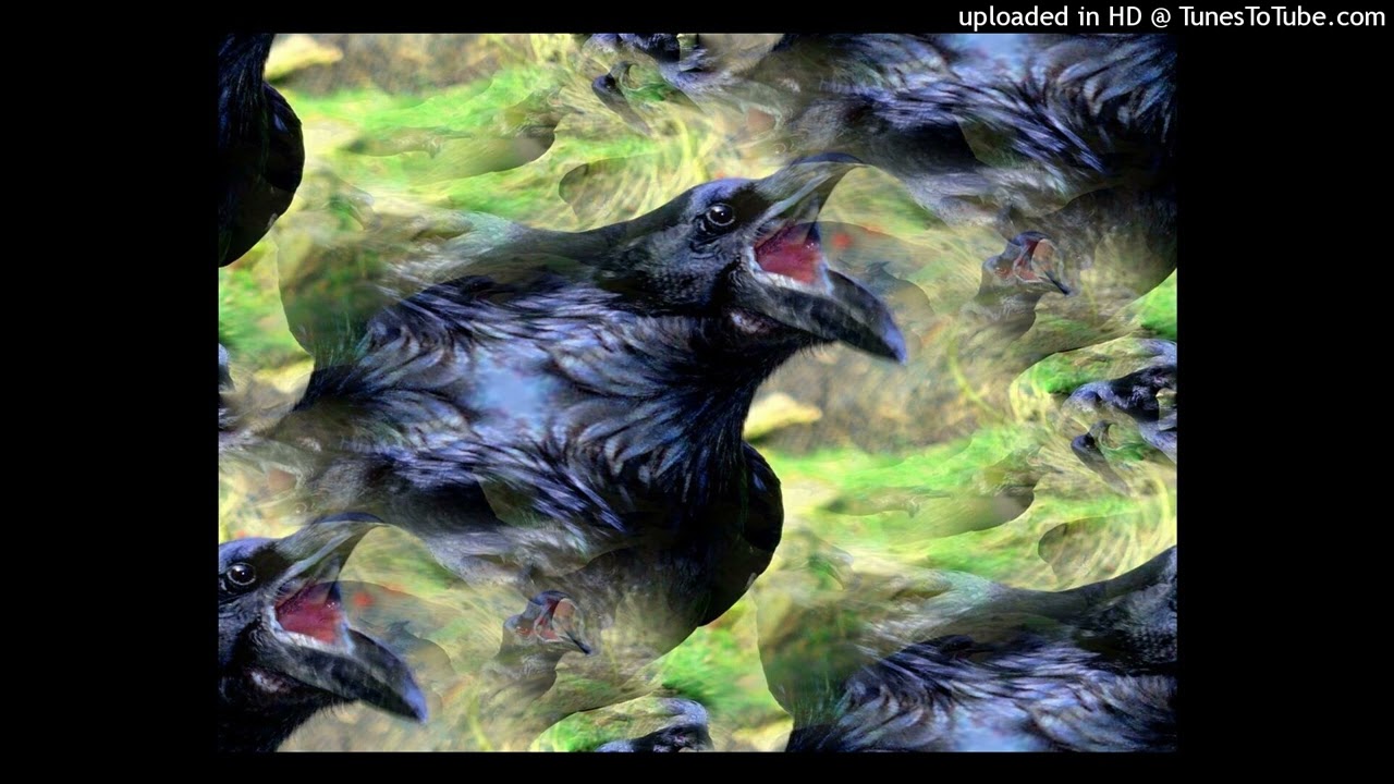 [free!] Bashfortheworld type beat - 