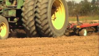 Flax offers winter cash crop