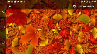 Autumn Leaves 2 Live Wallpaper for Android screenshot 5