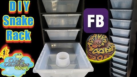 How to build a pvc snake rack, cheap, fast and easy (Do It Yourself)