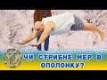 Народ проти чиновника! Чи стрибне мер в ополонку?