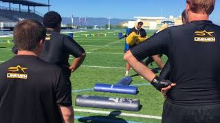 BIG DAWG FOOTBALL INC. | PART 4
