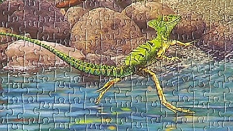 Framing a 24,000 piece jigsaw puzzle