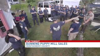 Montgomery County to consider ban on sales of pets from puppy mills, breeders