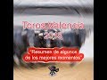 TOROS VALENCIA 2018