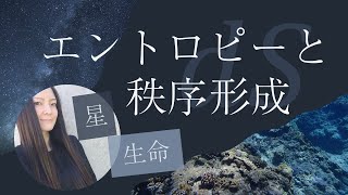 エントロピーと秩序形成（星と生命、散逸構造）