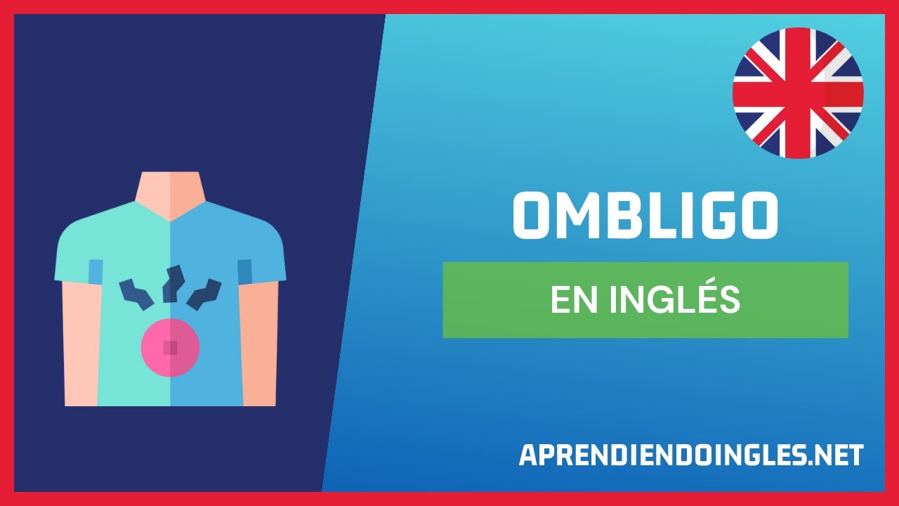 CÓMO se dice BELLY BUTTON en INGLÉS 2022 🚀 APRENDE A ESCRIBIR OMBLIGO