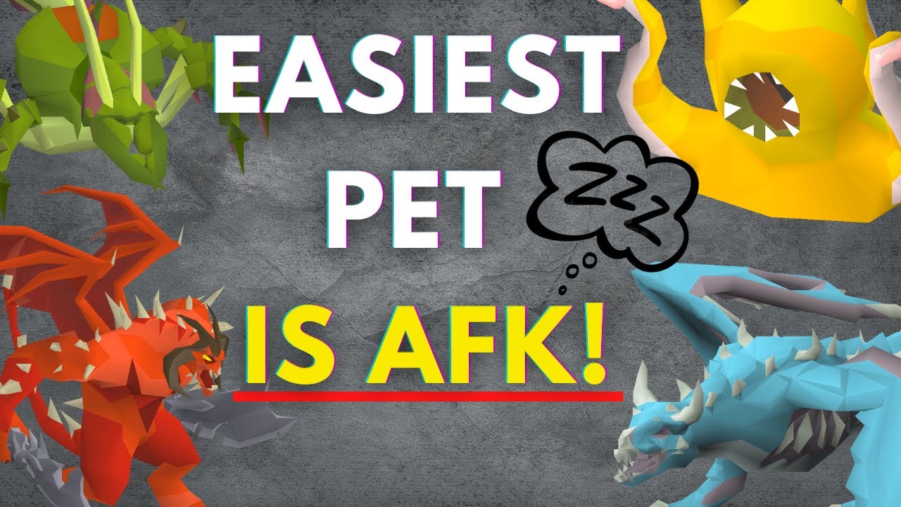 Old School RuneScape: All pets and how to get them in OSRS - Dexerto