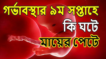 গর্ভধারণের নবম সপ্তাহে মায়ের পেটে কি ঘটে দেখুন একবার । Pregnancy week by week in bangla