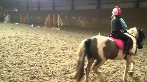 British Dressage intro C