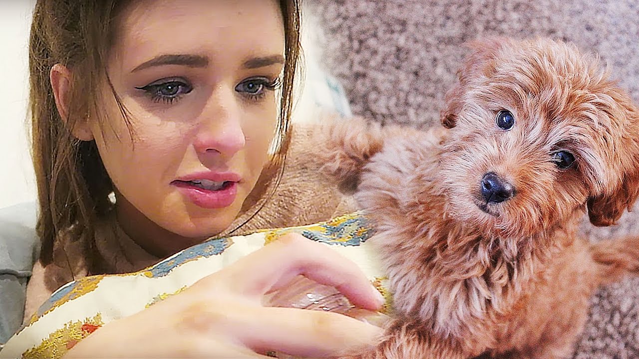 PICKING OUR DOG - YouTube