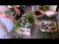 Cómo hacer (fácilmente) una cesta de plantas crasas