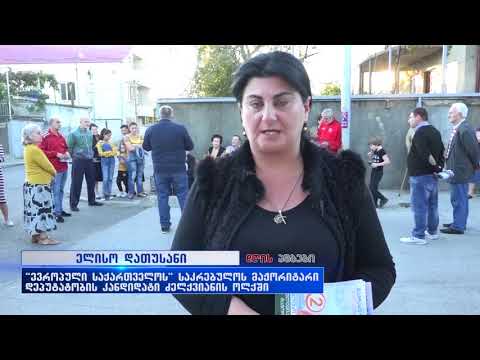 დავით გოგისვანიძე და ელისო დათუსანი ფხაკაძის და მესხიშვილის ქუჩის მაცხოვრებლებს შეხვდნენ