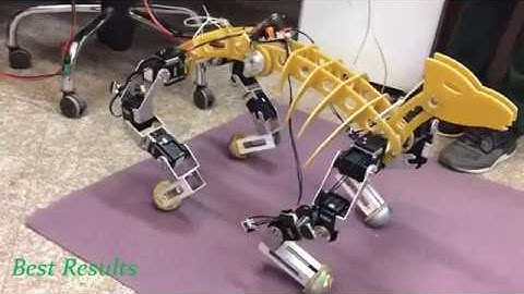Design, dynamic modeling and fabrication of a bio inspired quadruped robot