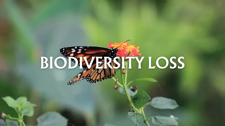 Biggest Environmental Problems of 2025