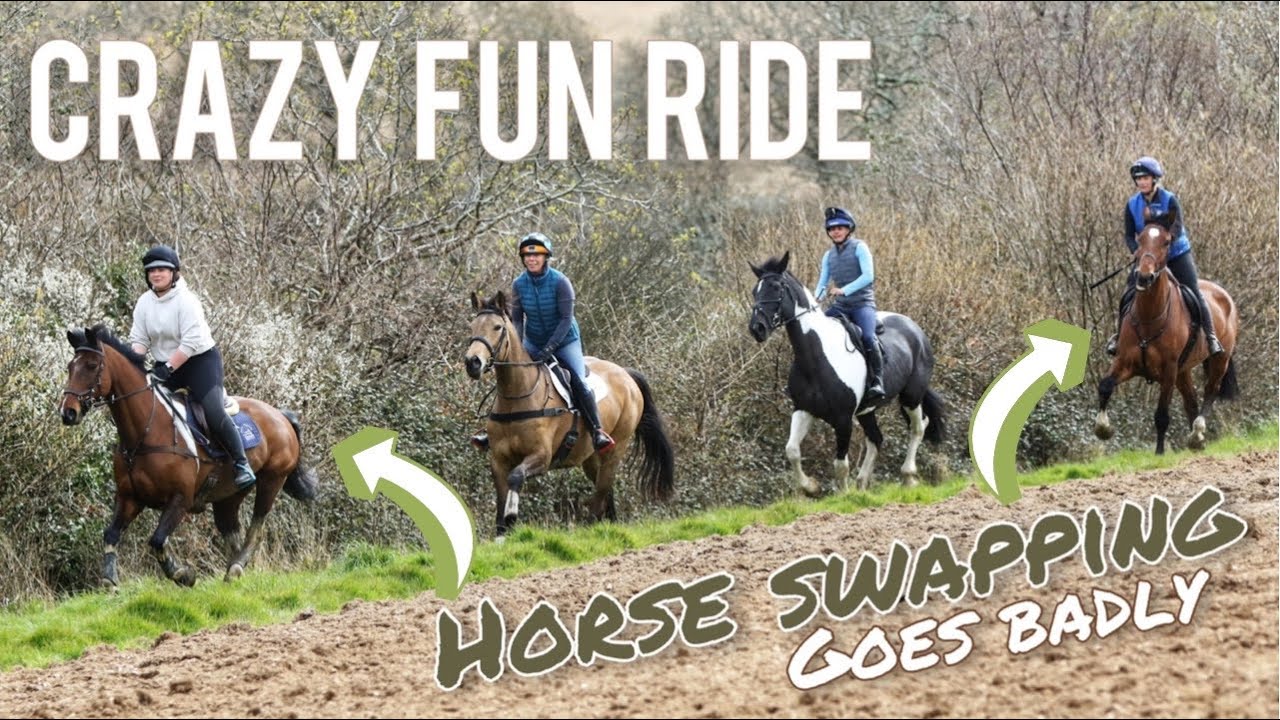 CRAZY FUN RIDE Horse Swapping Goes Badly Who Falls Off!! YouTube