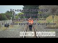 Условный срок за злоупотребление должностными полномочиями. Особо крупный ущерб. Статья 285 УК РФ