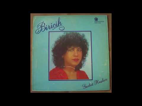 Biricik - Ne Zaman ( Gurbet Kuşları )