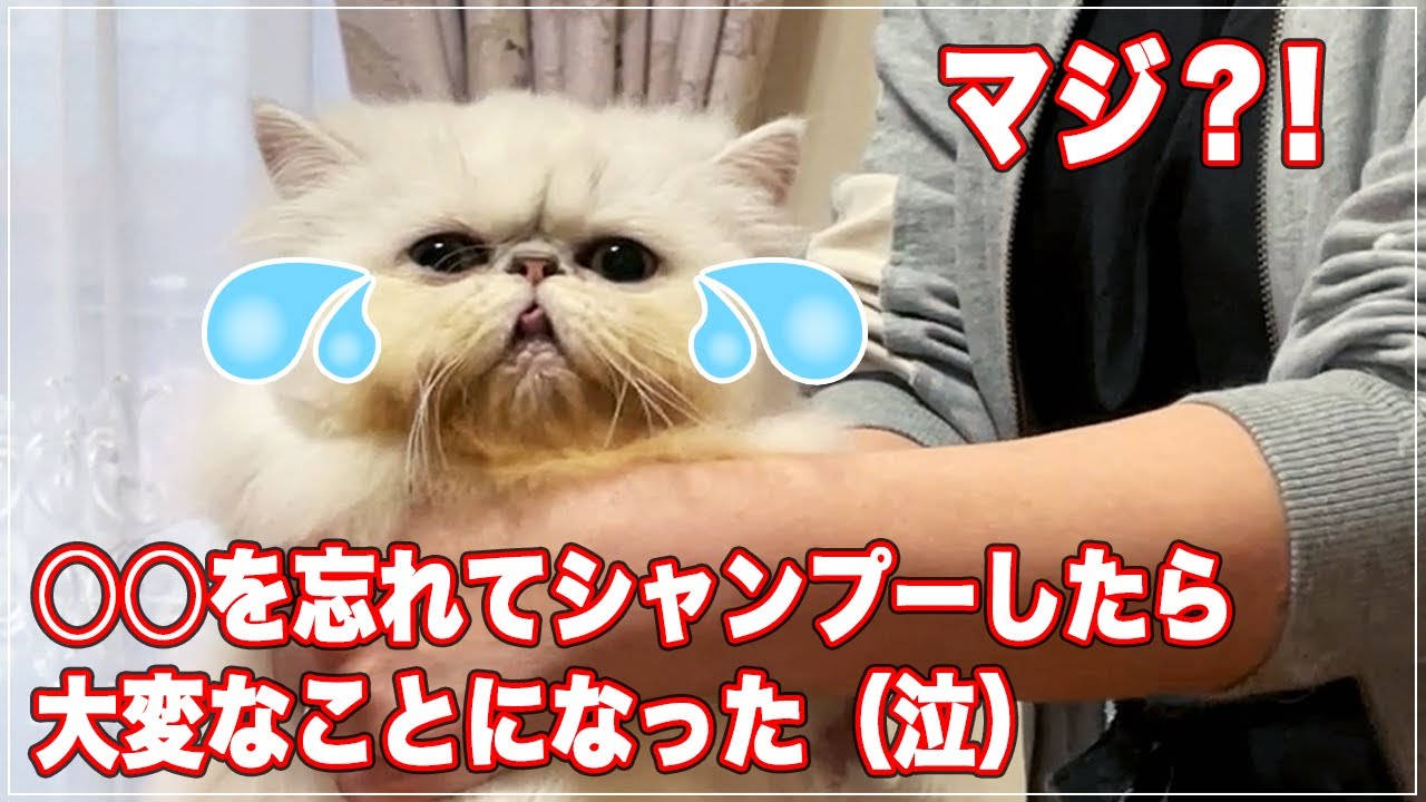 Washing hairballs] I forgot to do something I usually do and ended