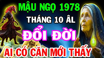 CHỈ AI ĐỦ CĂN MỚI THẤY: Cơ Hội Đổi Đời Của Tuổi Mậu Ngọ 1978 Đang Ẩn Mình | Tử Vi Tháng 10 Âm Lịch