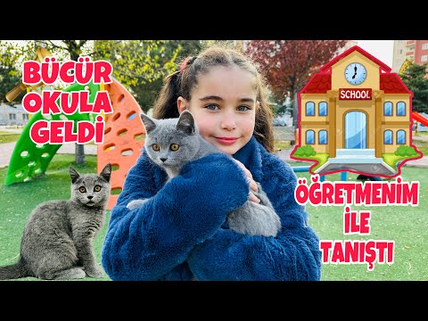 BÜCÜR İLE ELİF