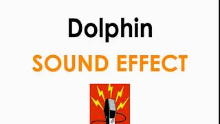 Dolphin Whistle Sound Effect ♪