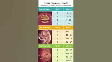 Pregnancy Weeks Months And Trimester Pregnancy Pregnancyjourney Pregnancycare 