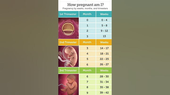 Pregnancy Weeks Months and Trimester #pregnancy #pregnancyjourney #pregnancycare