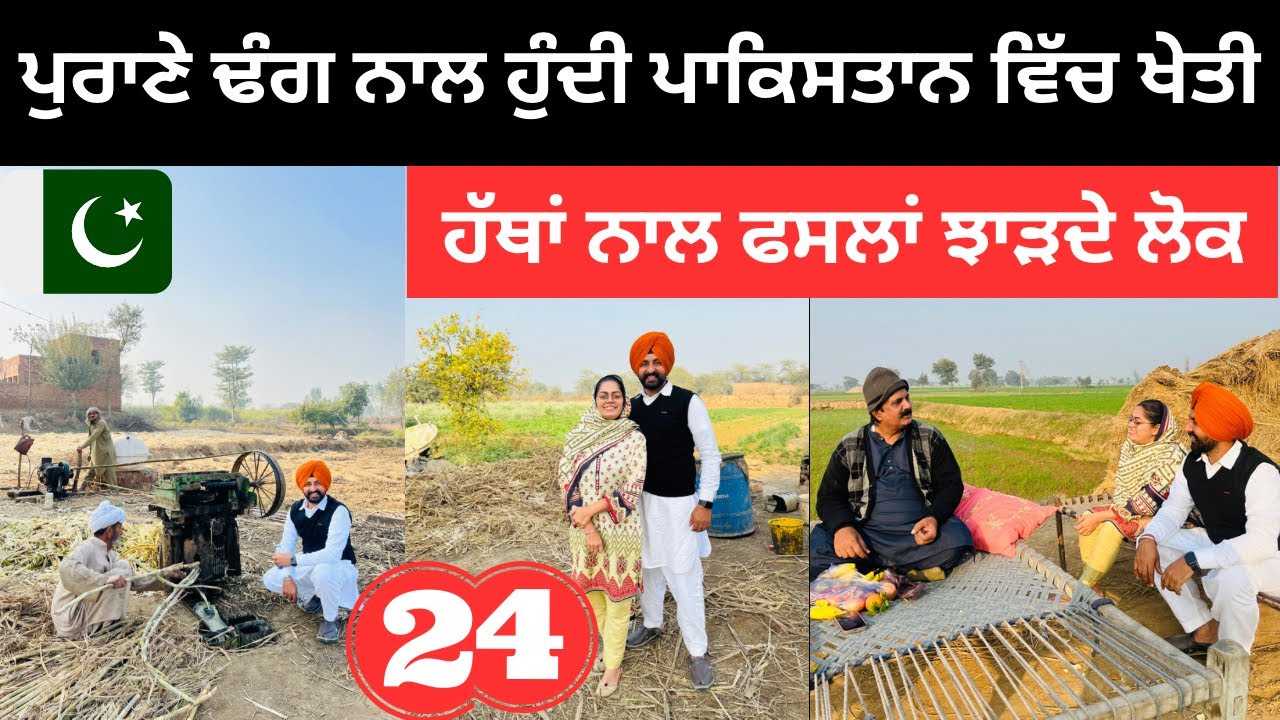 ਪੁਰਾਣੇ ਢੰਗ ਨਾਲ ਹੁੰਦੀ ਪਾਕਿਸਤਾਨ ਚ ਖੇਤੀ Pakistan Village life | Punjabi Travel Couple | Ripan Khushi