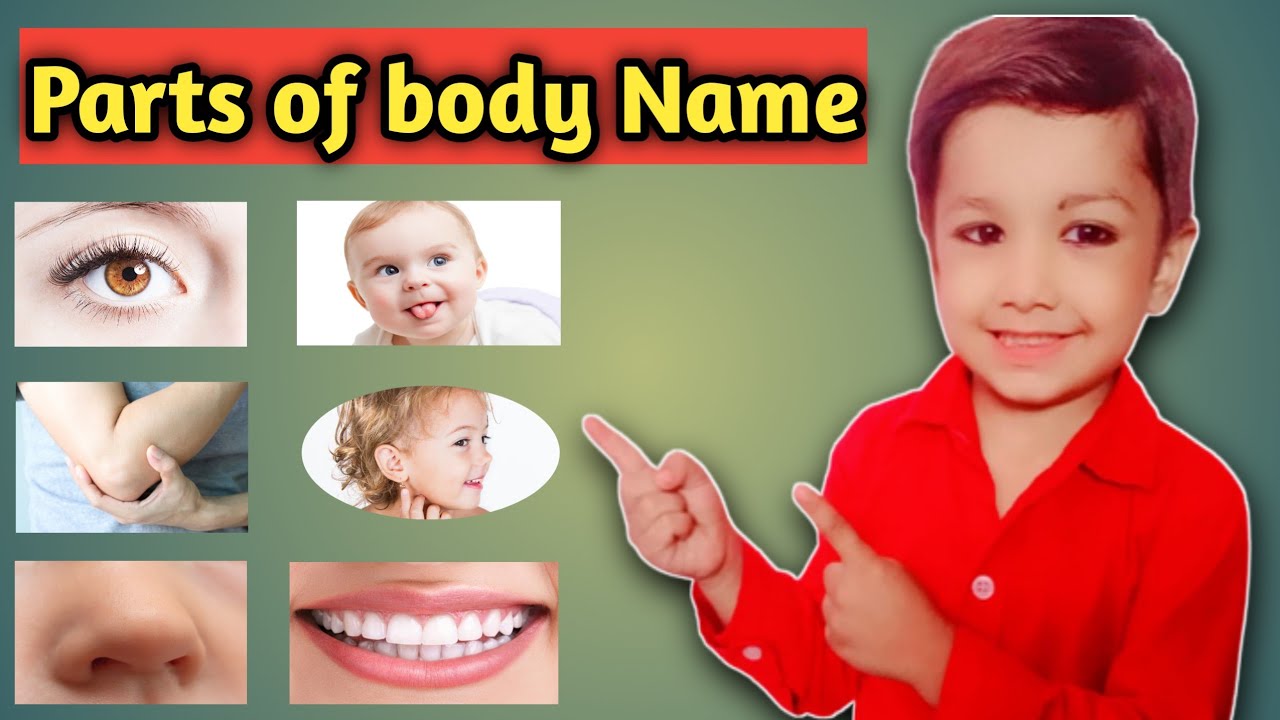 Parts Of Body For Kids Parts Of Body Name Parts Of Body Name Hindi parts-of-body-for-kids-parts-of-body-name-parts-of-body-name-hindi