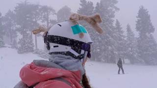 BIG BEAR-2016