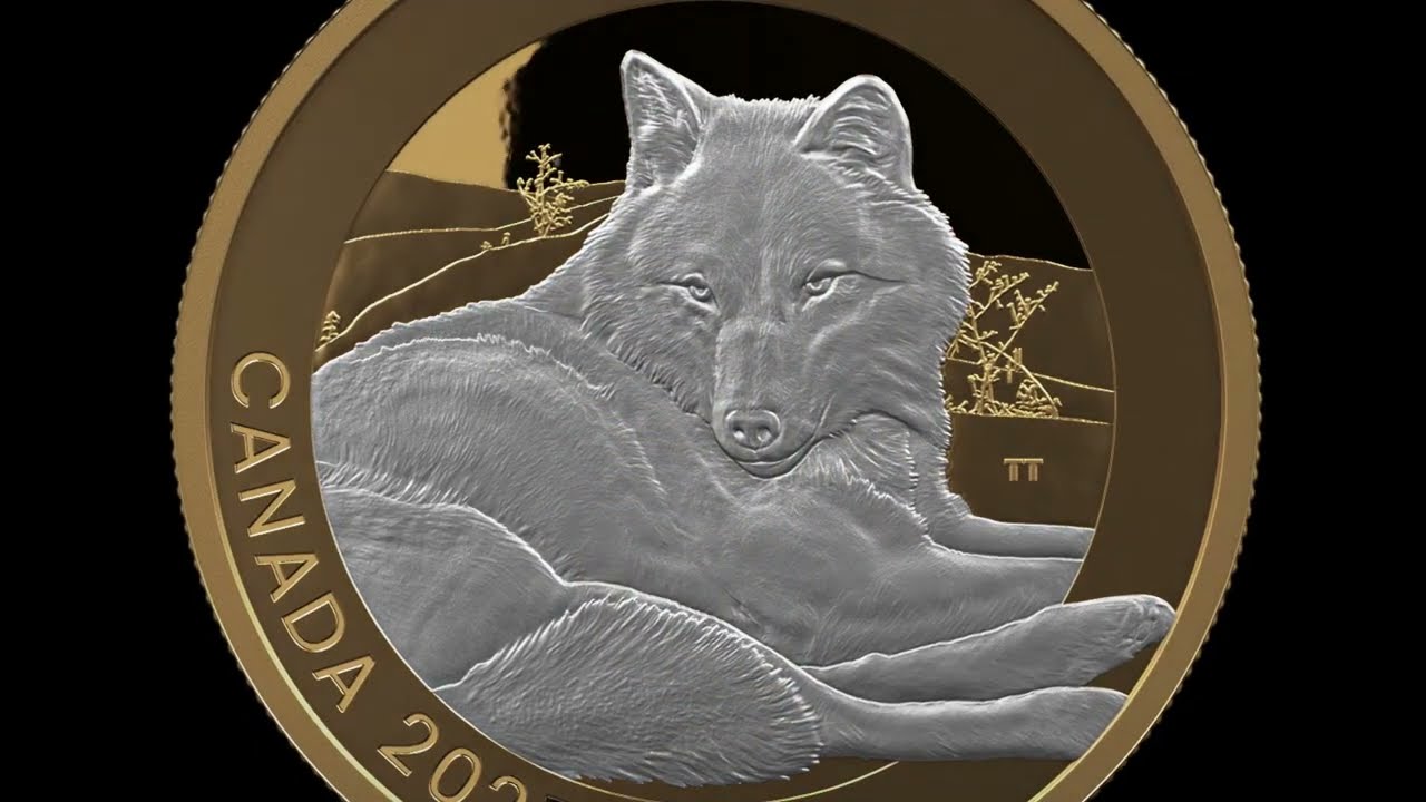 美術品・アンティーク・コレクション Canada メイプル1oz オーロラ・狼