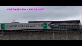 JR四国1200形気動車 牟岐線 文化の森駅
