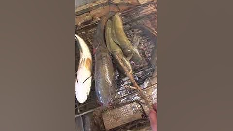 Bắt cá suối ở bình phước!