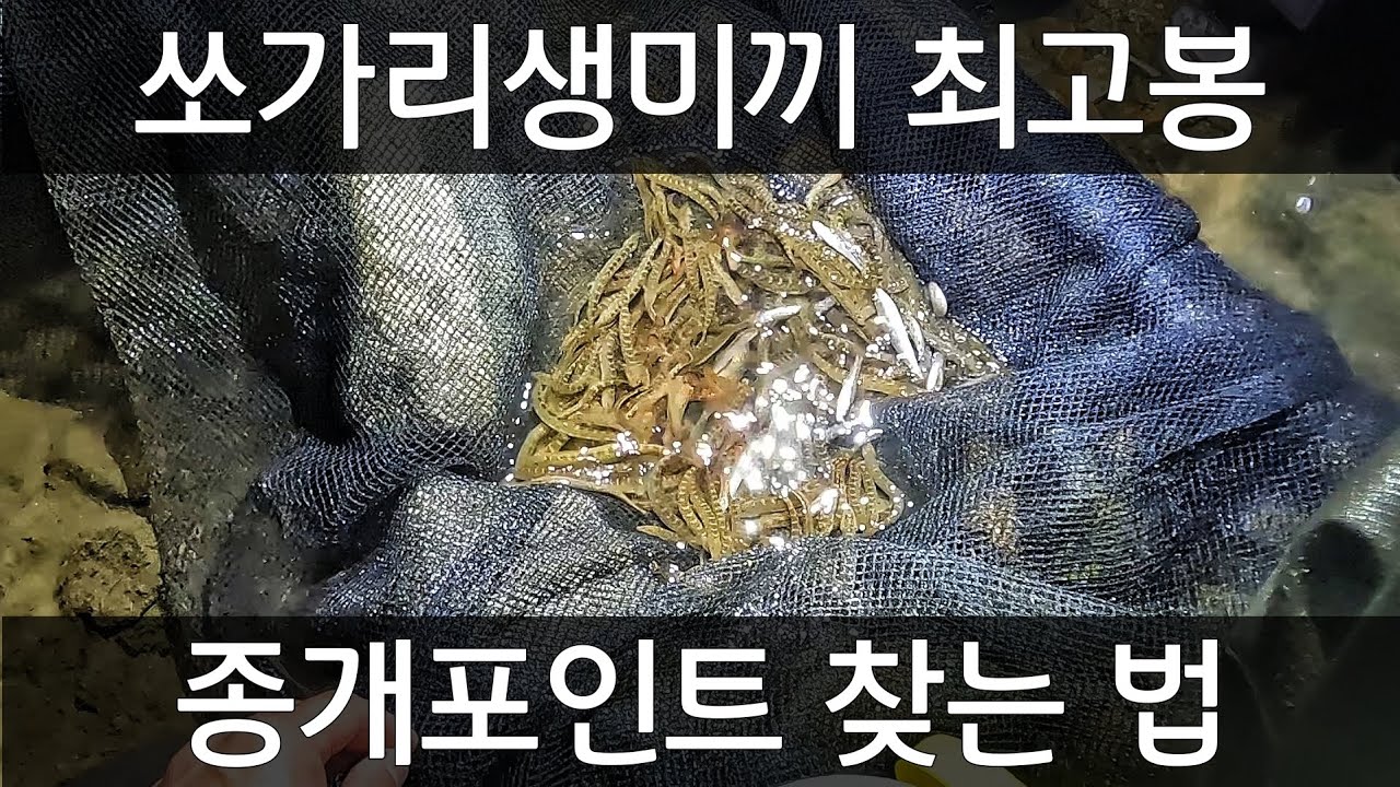 종개포인트탐사!! 종개는 이렇게 찾으세요!!!