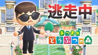 【あつ森】逃走中を森でやってみた ジューンブライド編 inハンターズネッ島【実況】あつまれどうぶつの森
