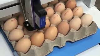 egg coding machine egg printer