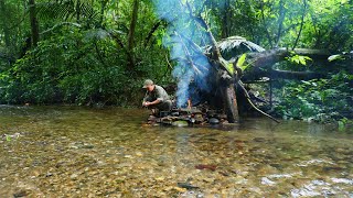 Solo bushcraft: Build shelters in the rainforest. Survive and relax off the grid