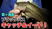ブラックバス 刺身で食べてみた Youtube ブラックバス 刺身で食べてみた Youtube