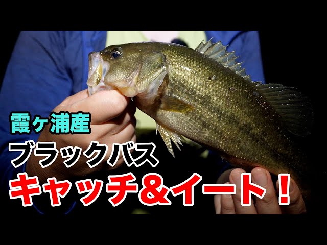 Let's eat together] Black bass is great to catch and eat! - YouTube