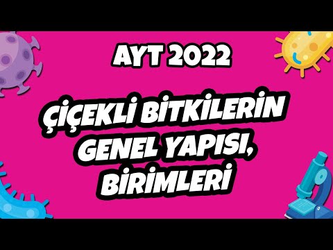 Video: Hangi bitki çevreye uyum sağlamıştır?