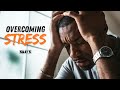 David Webber's Secret to Beating Stress in 2024 🔥 | SWAY’S UNIVERSE